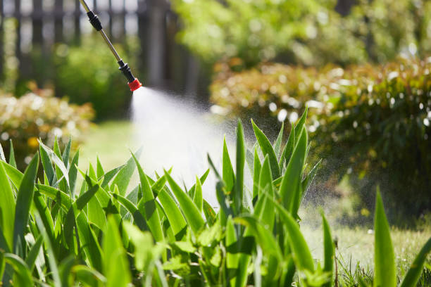24/7 Emergency Ant Control experts in Burnsville, NC