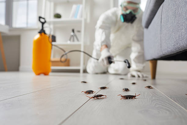 Trusted Fumigation Services service in Burnsville, NC - Nex Pest Control