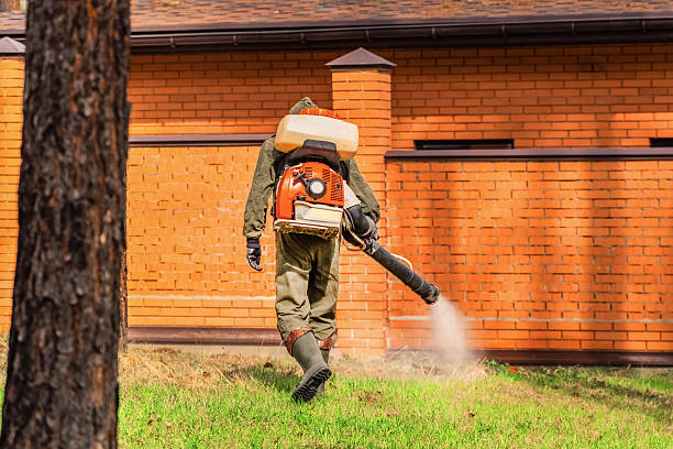 Trusted Termite Control service in Burnsville, NC - Nex Pest Control